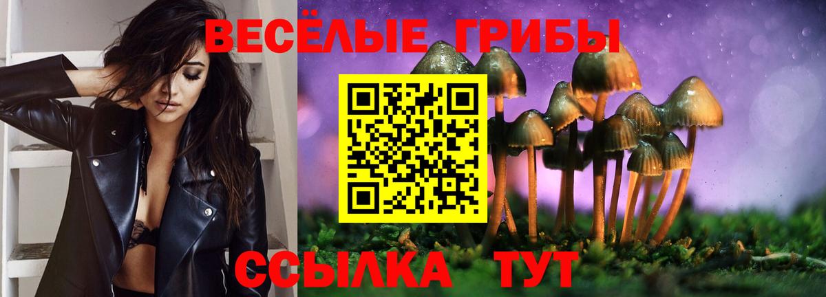 Псилоцибиновые грибы ЛСД Надым