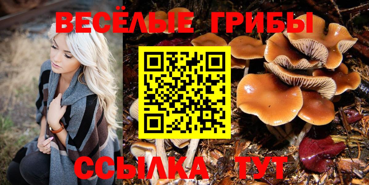 Галлюциногенные грибы Psilocybine cubensis  Вход с VPN  Надым  купить наркоту  Галлюциногенные грибы Psilocybine cubensis 